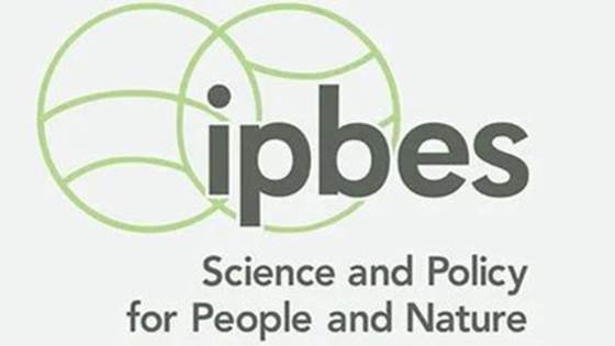 Webinar: Hva er egentlig Naturpanelet (IPBES)?