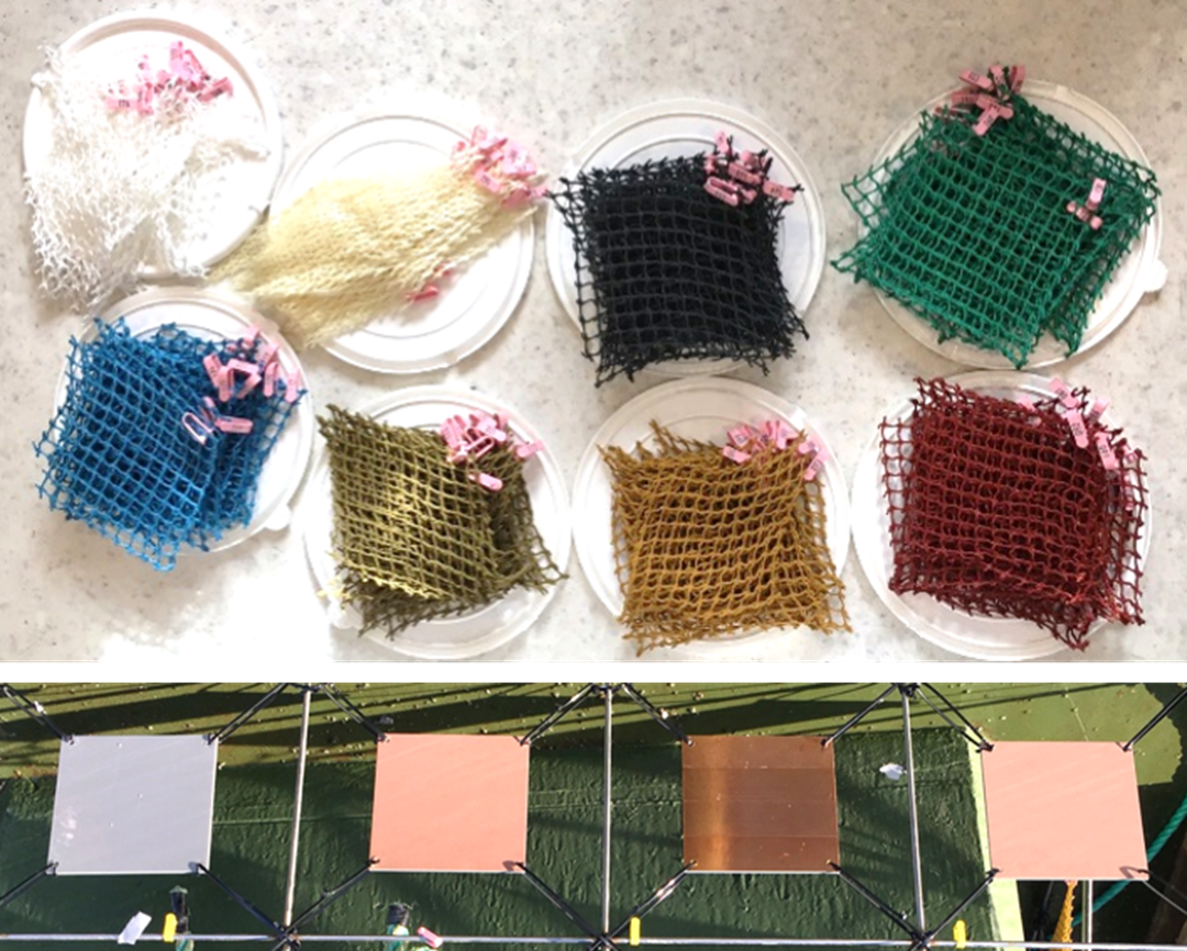 Net and panel samples