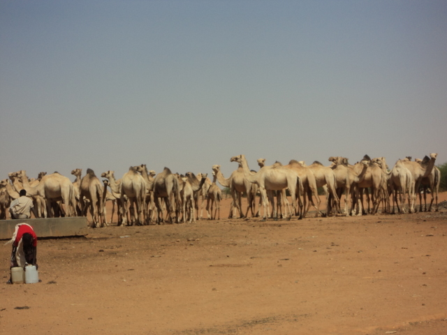 Umbada, Sudan