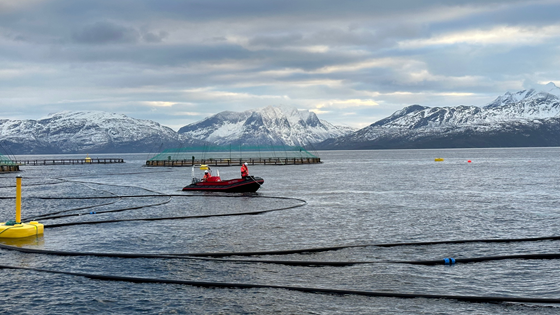 SINTEF, Folla Alger and Cermaq are testing a new combined sea site for salmon and kelp: will contribute to the green shift