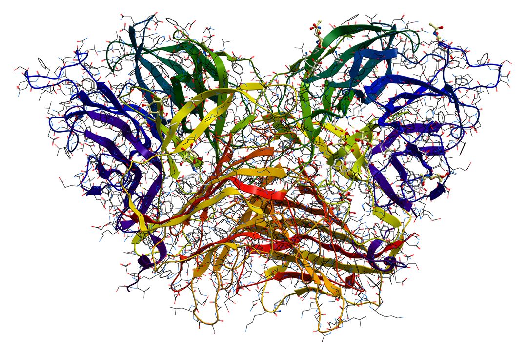 An enzyme that catalyzes hydrolysis.