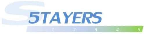 Stayers Logo 