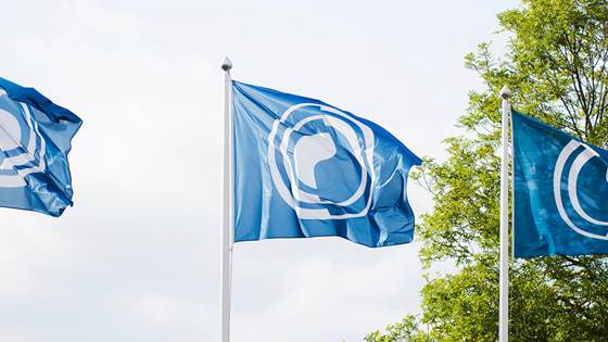 Års- og bærekraftsrapporter