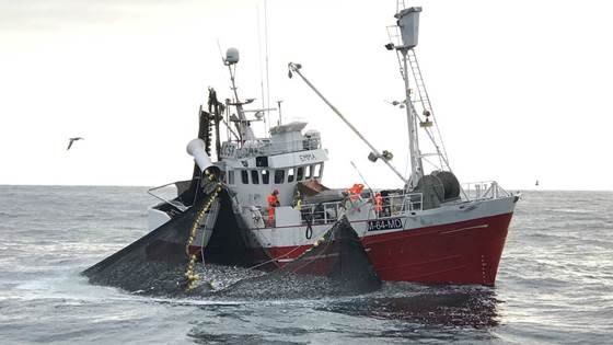Beslutningsstøtte for fiskefartøy basert på marine økosystemmodeller og fiskeridata