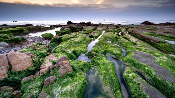 Avdeling for klima og miljø