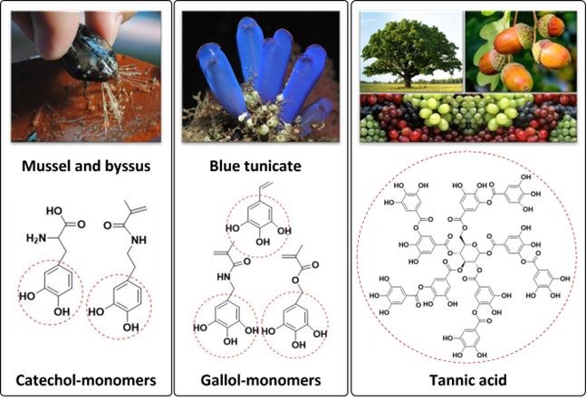 potential raw materials to be used in the project