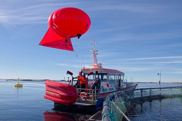 Maritime Robotics' OceanEye Aerostat- system. En heliumfylt ballong med et kamera som kan filme både i dagslys og infrarødt lys. Data overføres trådløst til bakken. Foto: SENSODRONE project SINTEF FH; Partner: Maritime Robotics