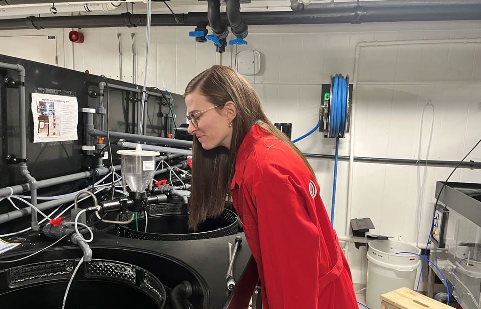 Researcher Charlotte Volpe looking into the tank where she and her colleagues have succeeded in converting toxic ammonia into a nutrient-rich resource. Photo: SINTEF