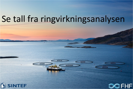 Link til flash-visning av ringvirkningsanalysen