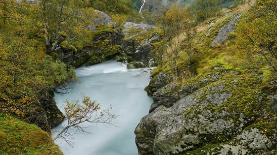 Models for Aggregation and Disaggregation - MAD