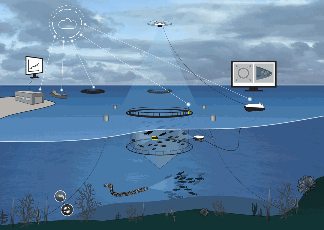 Illustrasjon av akvakulturanlegg med teknologi