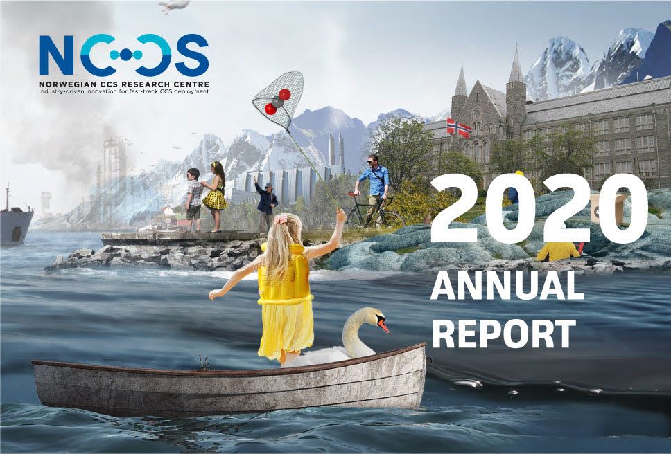 NCCS Annual report 2020