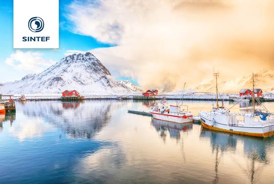 Bli vår nye forskningsleder for fiskeriteknologi i SINTEF Ocean