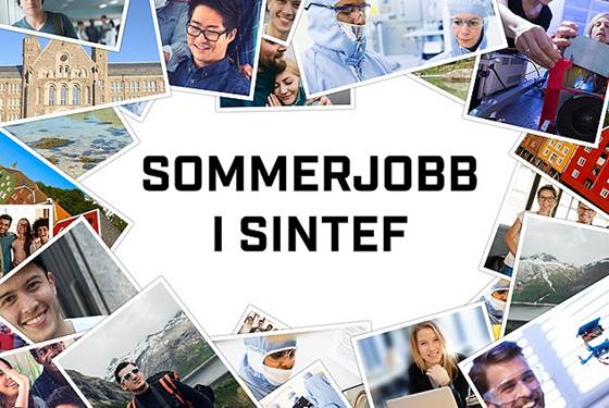 Sommerforsker 2026 innen matematikk og kybernetikk