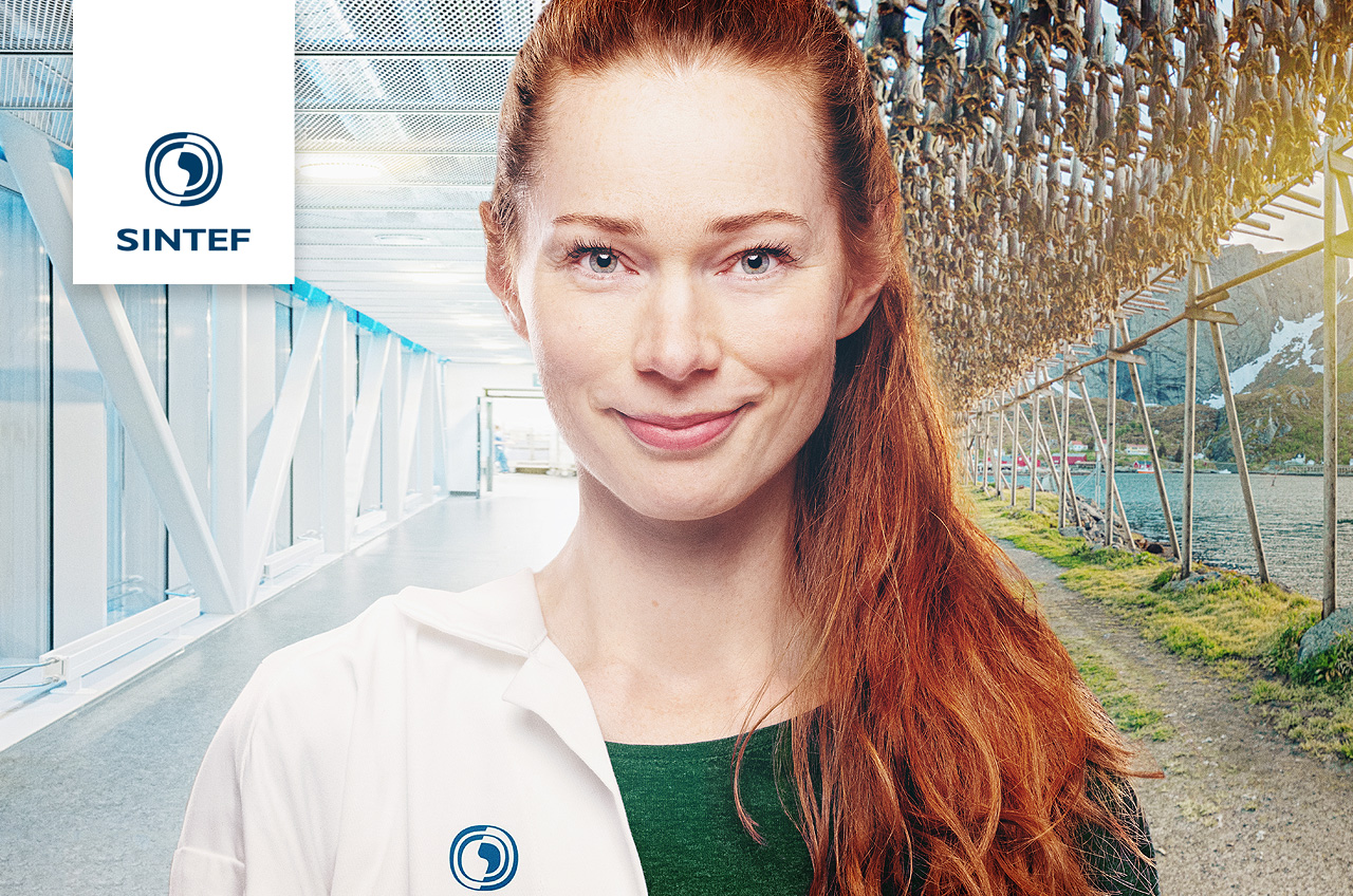 Tekniker/ingeniør innen prosessmetallurgi og råmaterialer