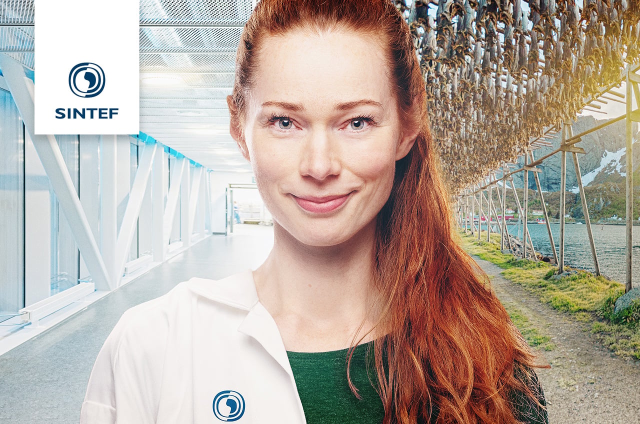 Analytics and AI; Junior Researcher (MSc) and Researcher (PhD)