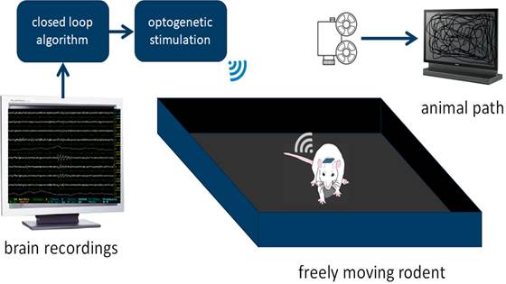 Inductive power link for a next-generation wireless neural implant