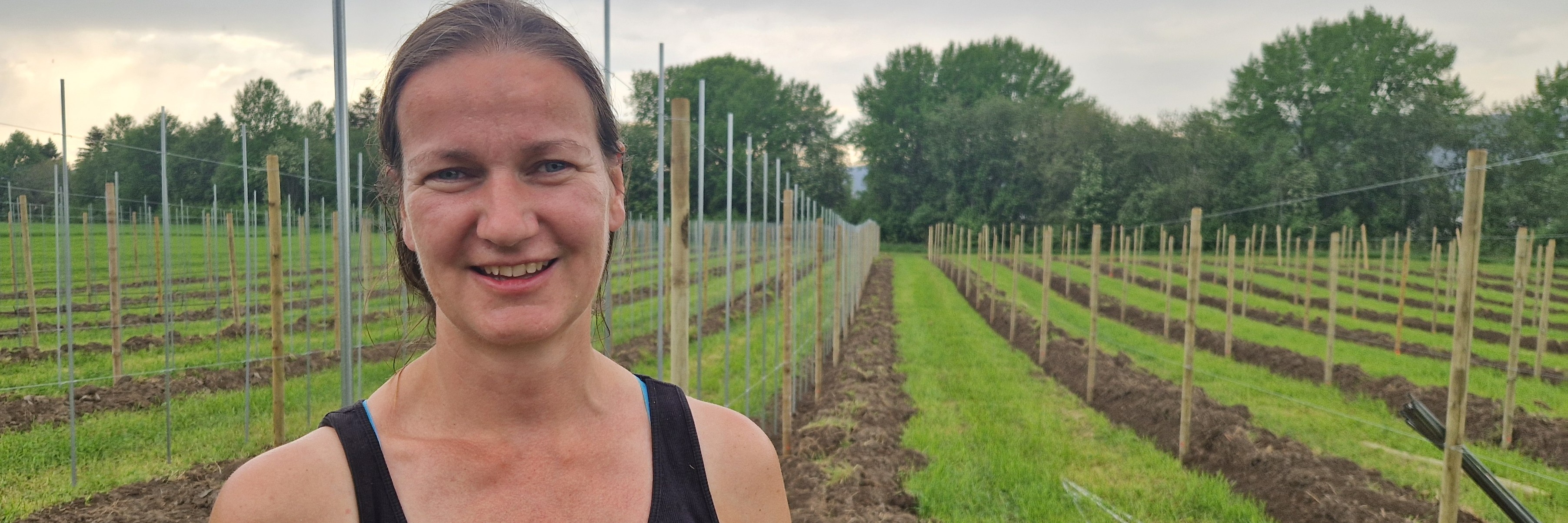 Evaluering av midler til investering og bedriftsutvikling i landbruket