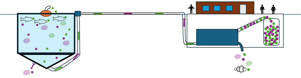 Conceptual illustration of closed containment system with solution for sludge collection