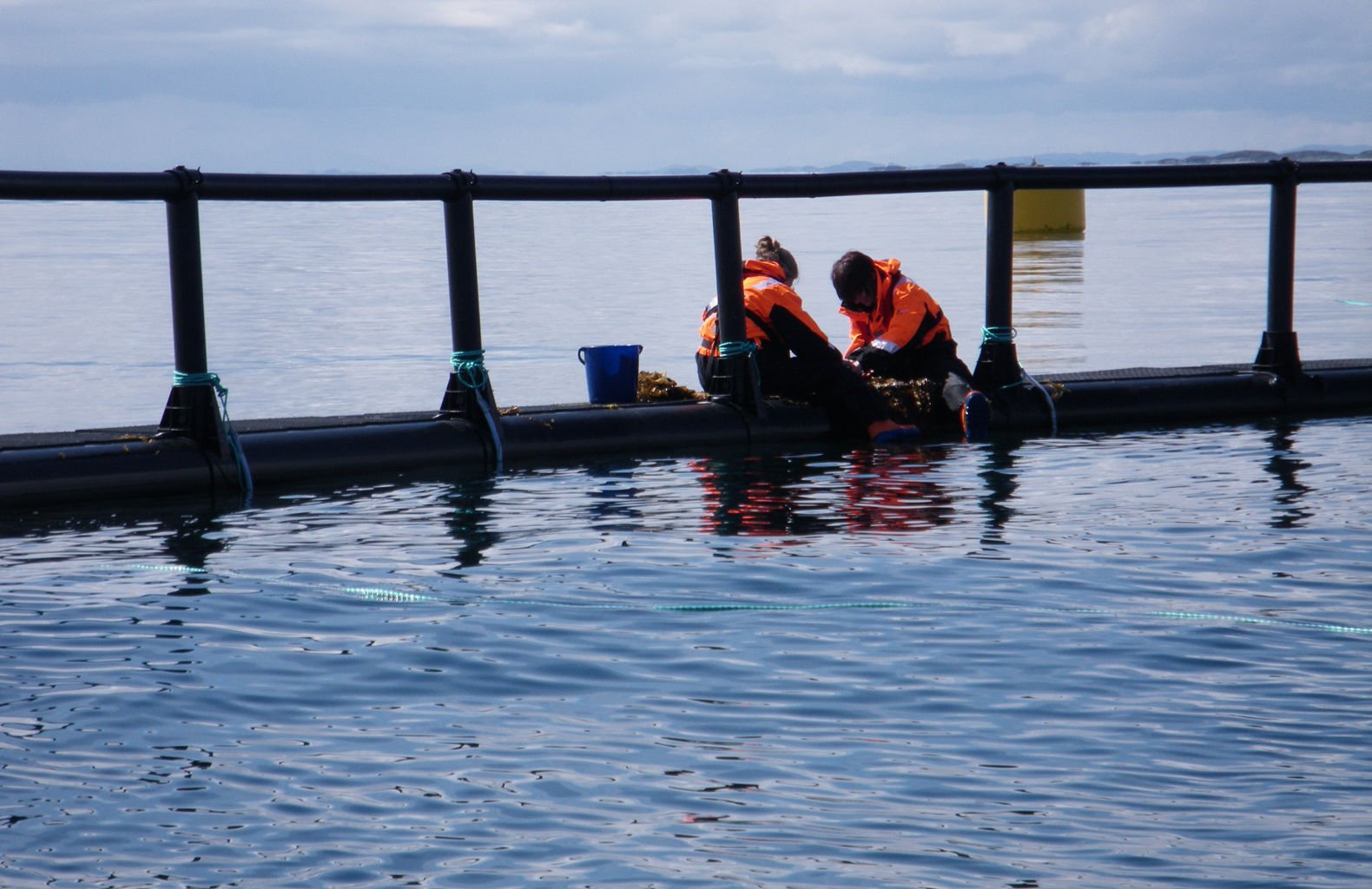 Bærekraft for hvem og hva?