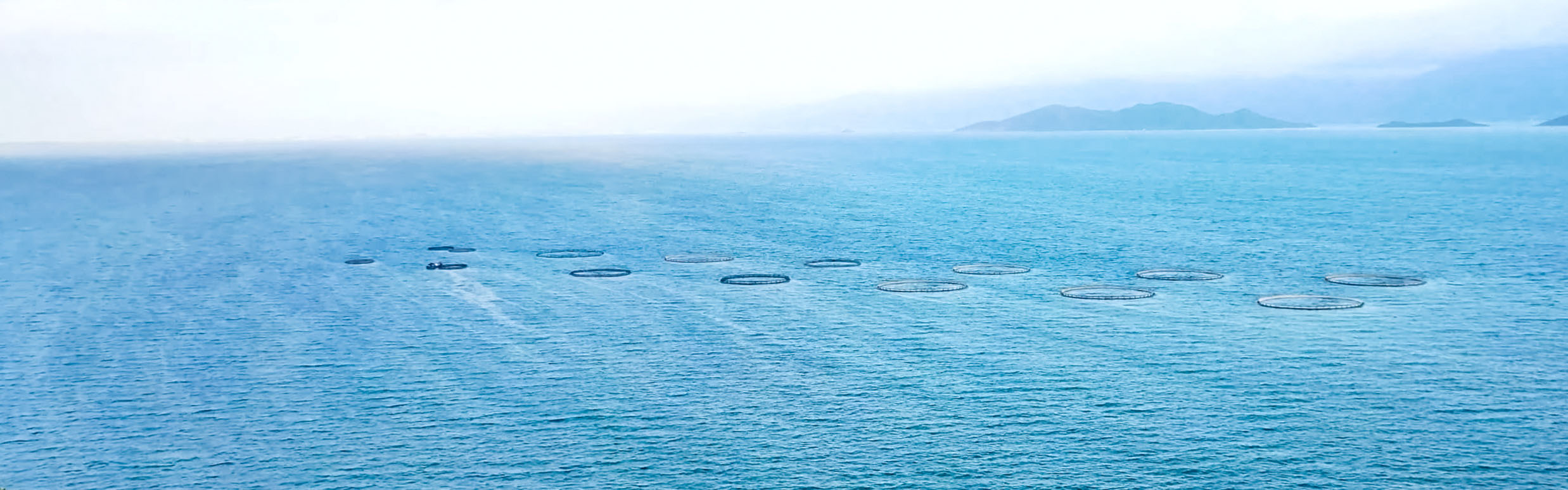 FLOprod - Produksjonsmiljø, fisketetthet og strukturell integritet vurderinger for flytende lukkede merder