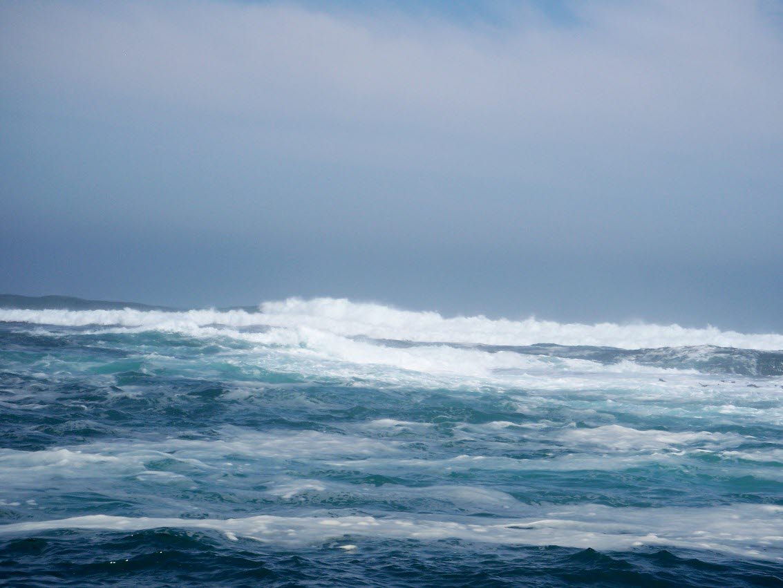 Skaper neste generasjons saltkraftverk