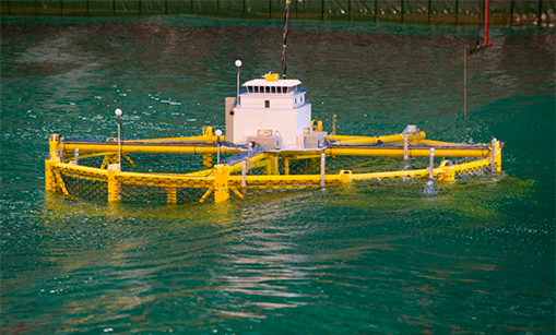 Havmerd– Lakseoppdrett til havs