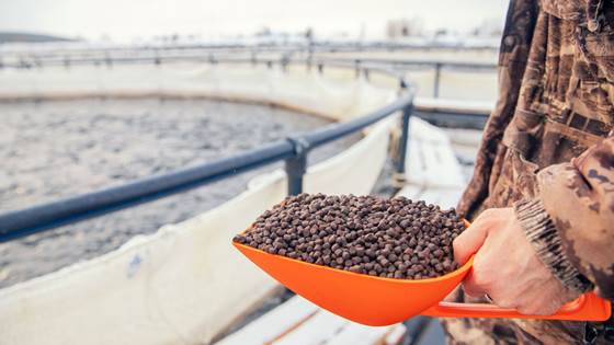 LCA Fish sludge - Mapping and asessment of environmental imapcts of fish sludge collection and use.