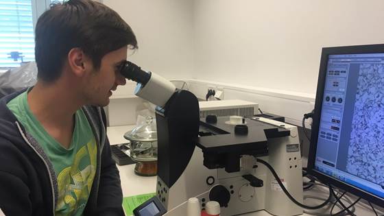 Meet internship candidate Martin
