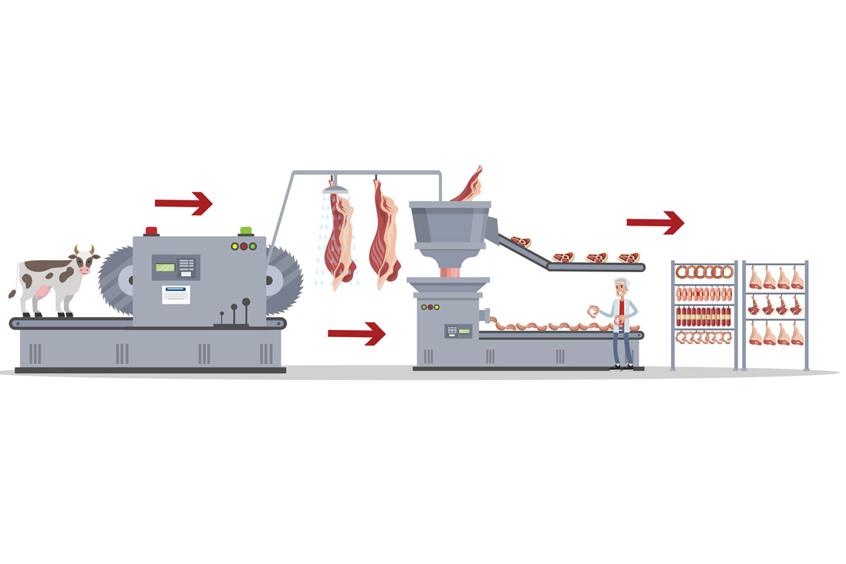 Muligheter og potensial for robotisering og automatisering i norsk kjøttindustri (AutoMeat)
