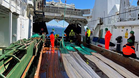 Alvorlige ulykker i kystfiskeflåten - årsaker og tiltak