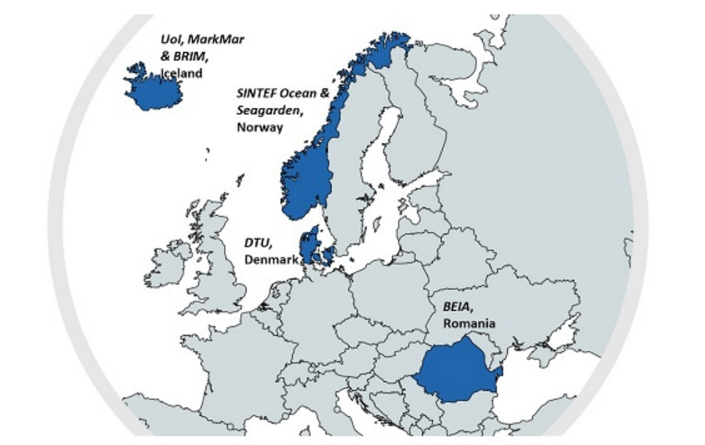 Partners and countries map.png