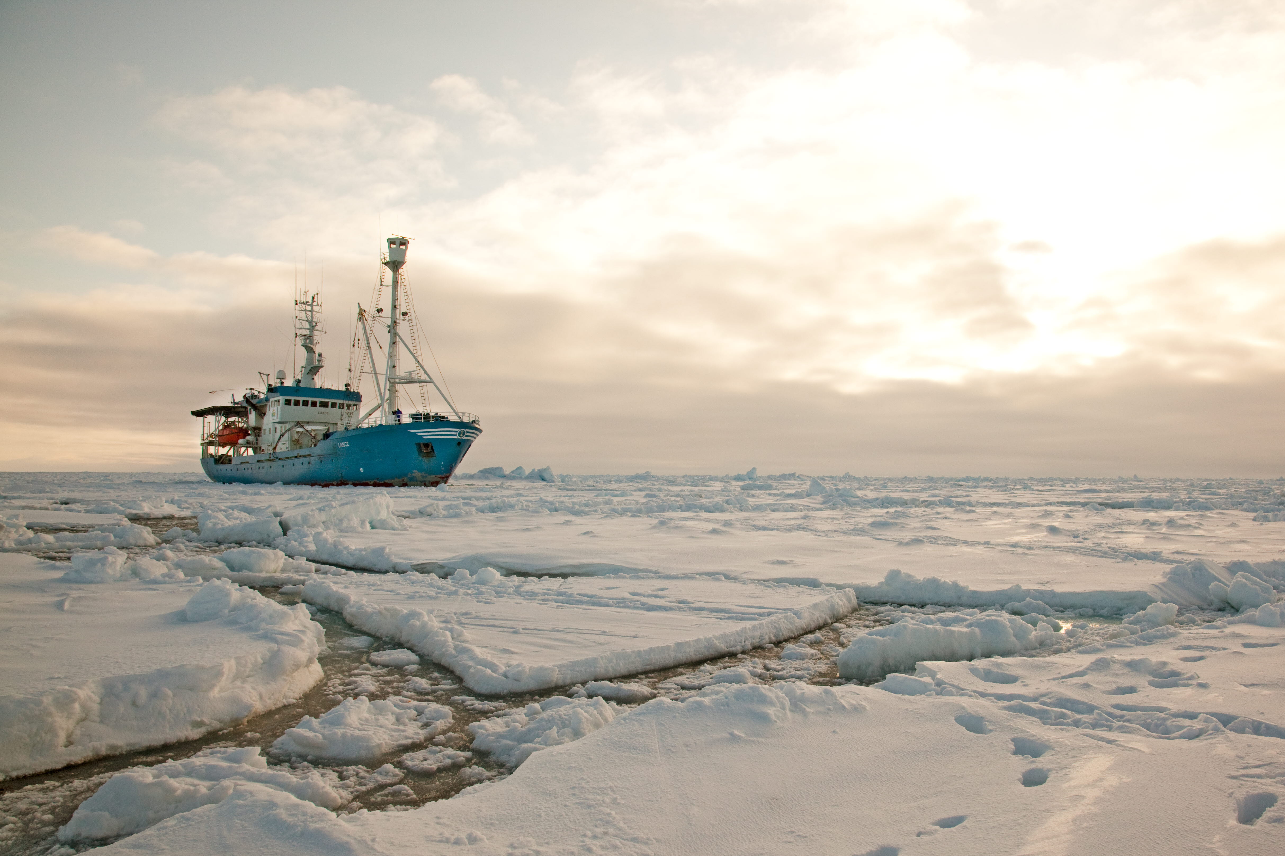 Oil Spills in Arctic conditions 