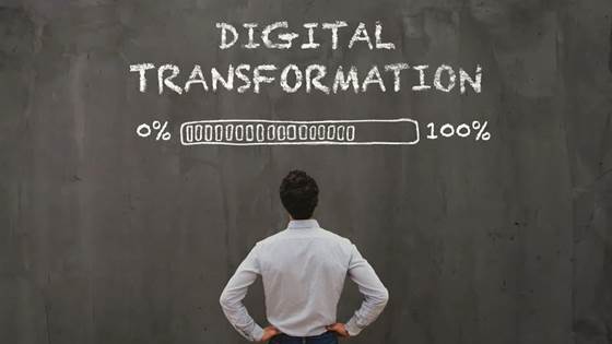 Are you going to invest in digitalization - or digital transformation?
