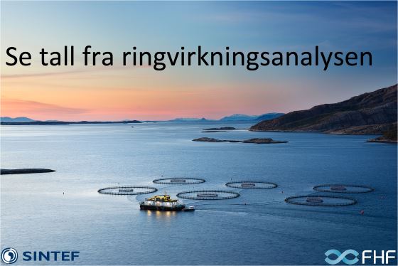 Link til flash-visning av ringvirkningsanalysen