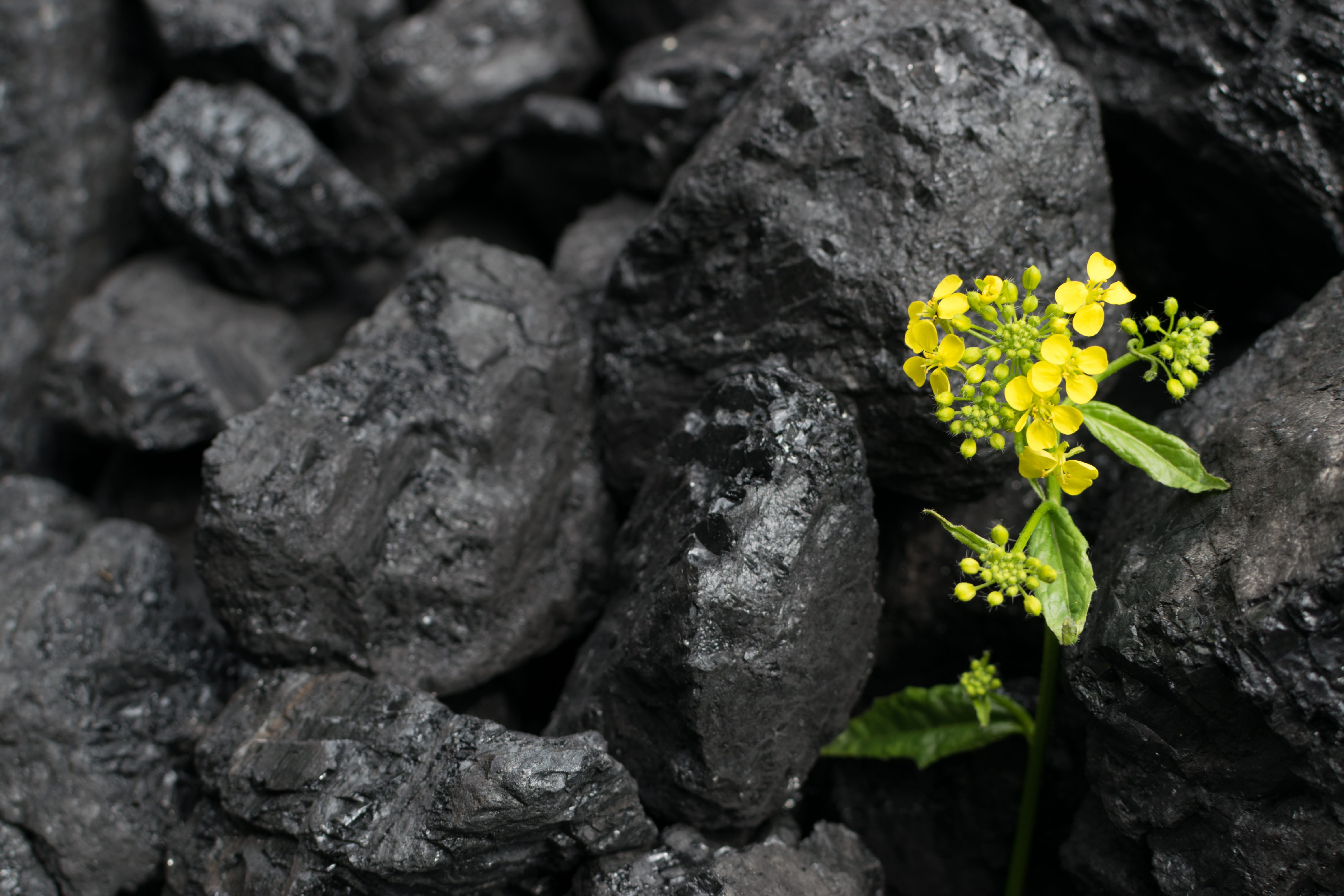 BioCoke4FAI - Bio-Coke for Ferroalloys Industry Production
