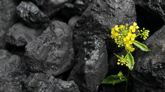 BioCoke4FAI - Bio-Coke for Ferroalloys Industry Production