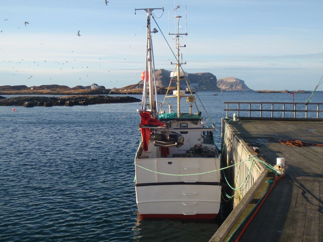 Fiskebåt til kai