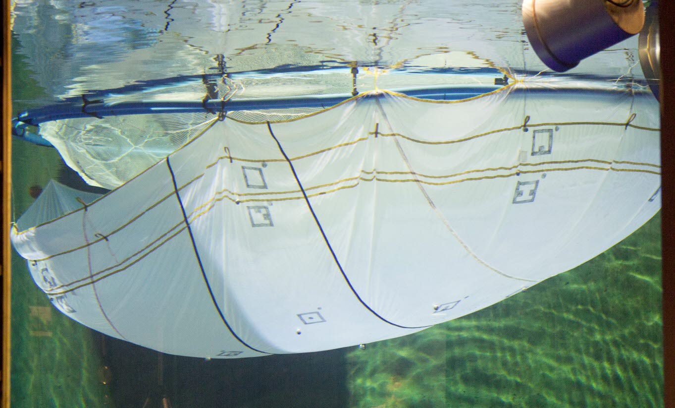 Jakter på den optimale lusebehandling