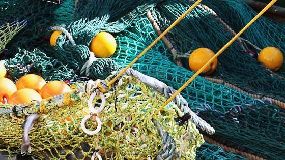 Kan jeg pante garn her?