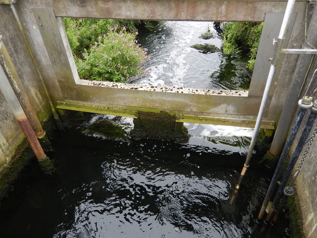 Water quality is measured before the water flows from the treatment plant into the environment. Photo: SINTEF