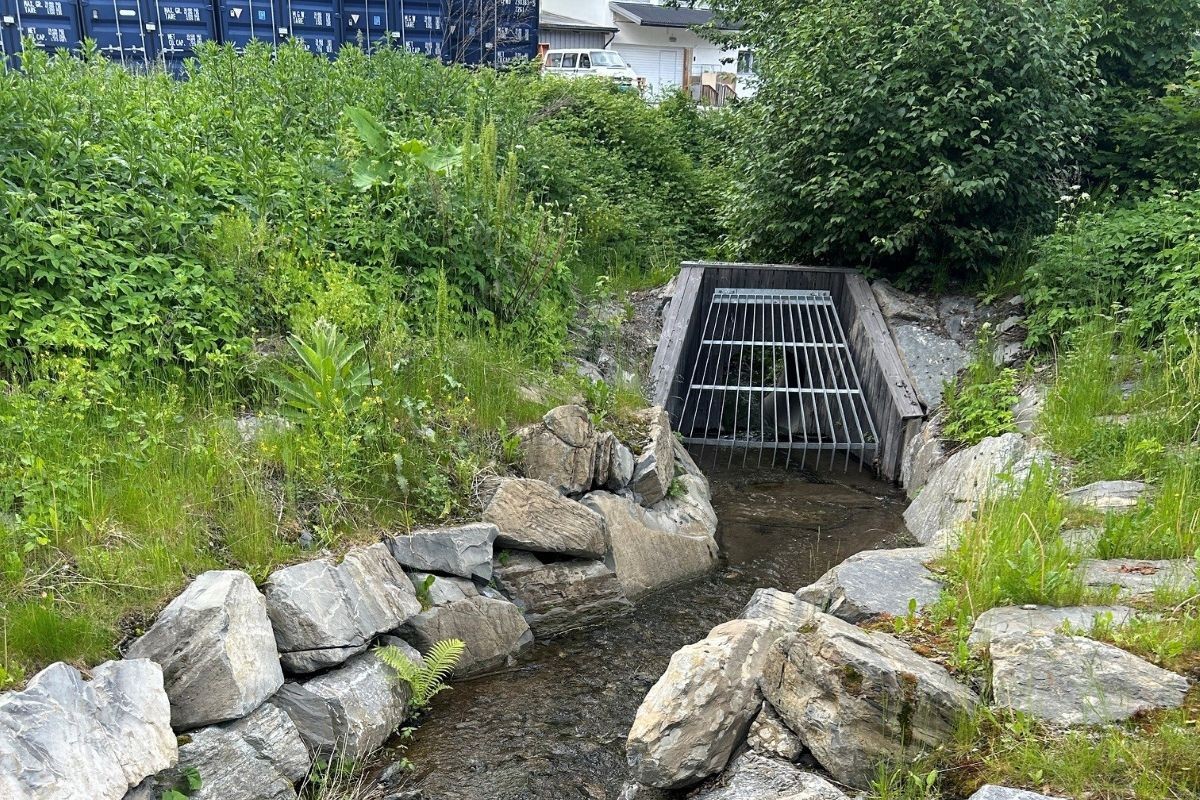 Bekkeinntak med rist og utforming som bremser vannets hastighet, Vakås i Asker kommune