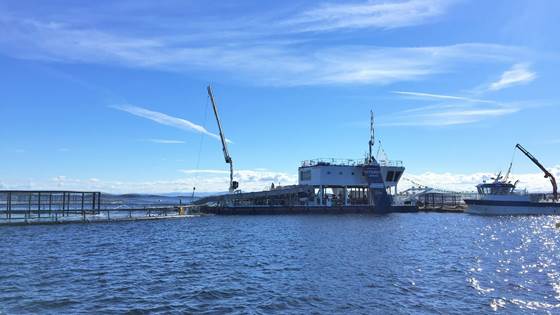 Utredning av fiskevelferd ved bruk av HydroLicer