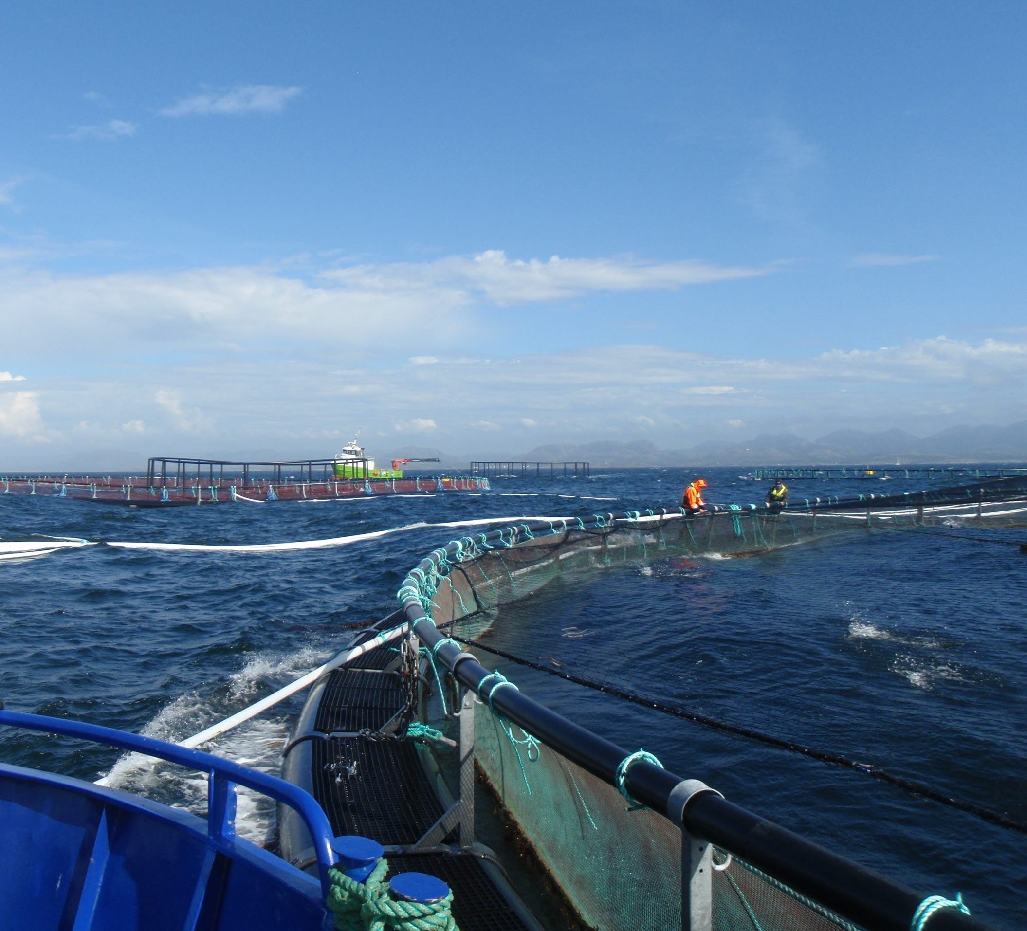 Sikre operasjoner og arbeidsplasser i havbruk