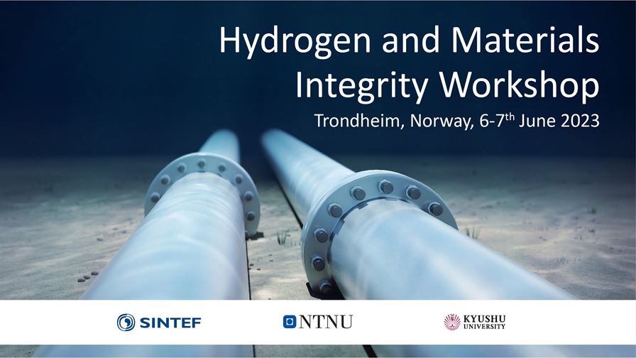 Hydrogen and Materials Integrity Workshop