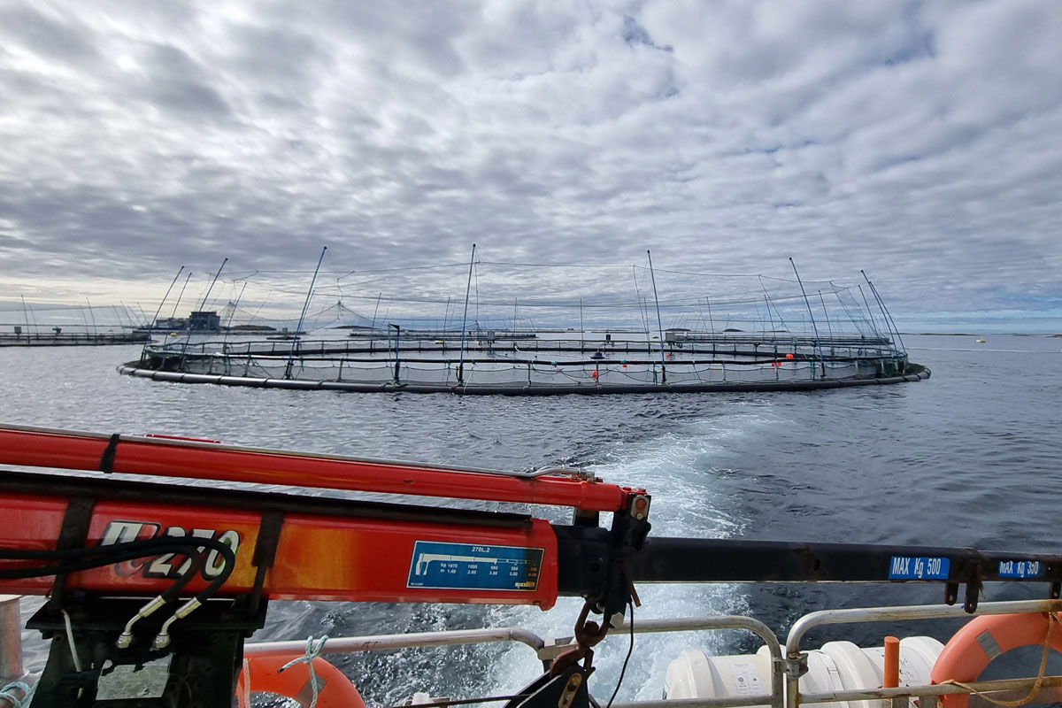 Innovation in aquaculture: Barriers and solutions for improved technology development