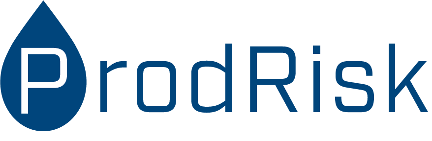 ProdRisk Logo