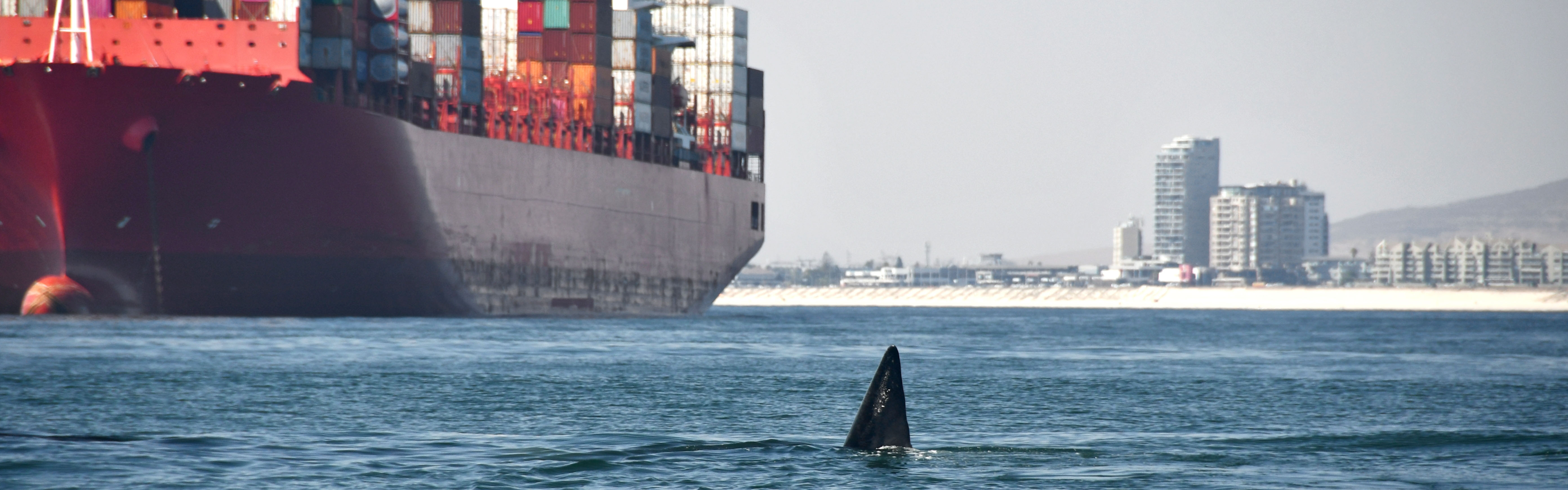 LOWNOISER - Reduksjon av undervannsstøystråling fra vanntransport