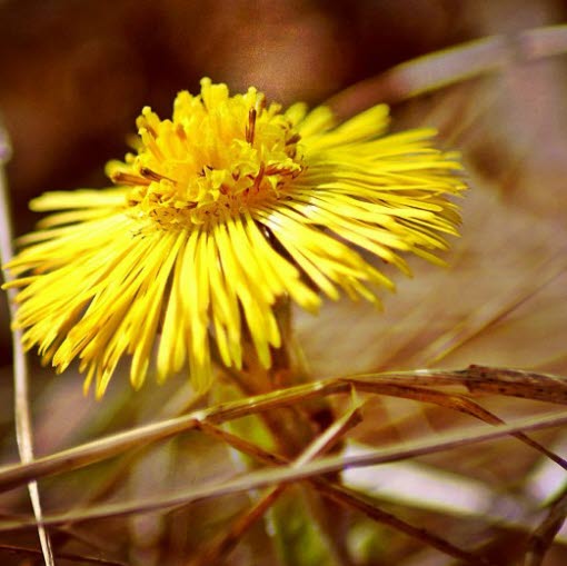 Kommunalt psykisk helsearbeid