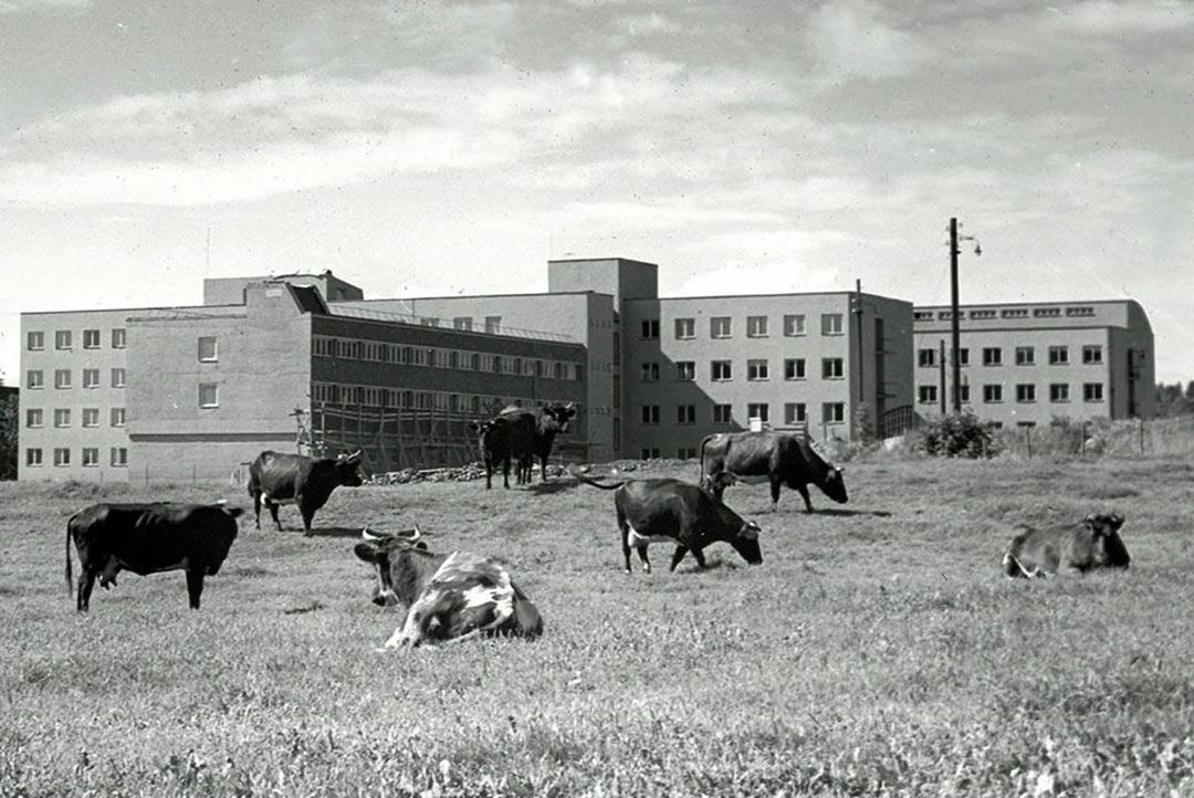 historiebilde-2-si-1956.jpg
